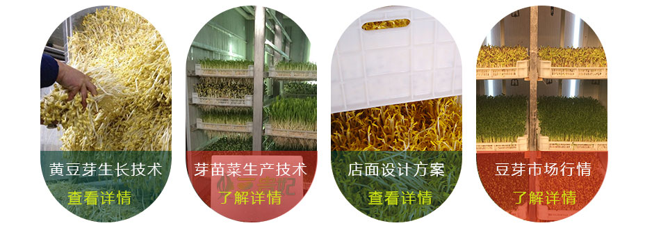 豆芽機(jī)怎么生產(chǎn)豆芽